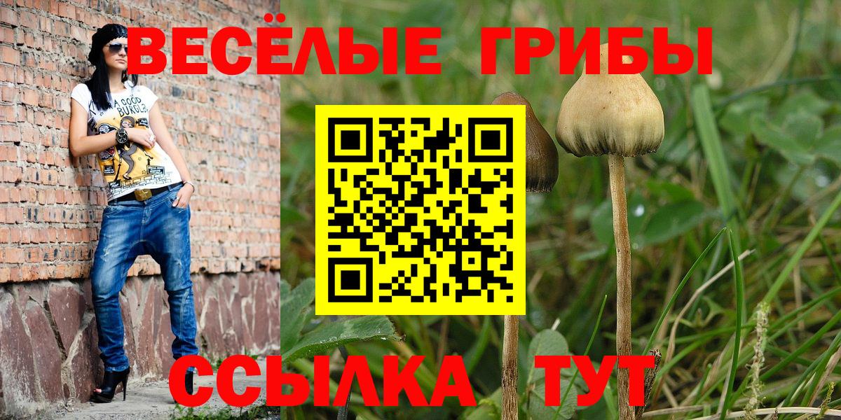 Псилоцибиновые грибы Cubensis  Псилоцибиновые грибы прущие грибы  Отрадный  Вход с VPN 